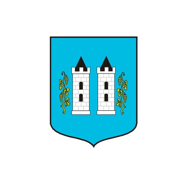 Logo - Gmina i Miasto Wyszogród - 600x600